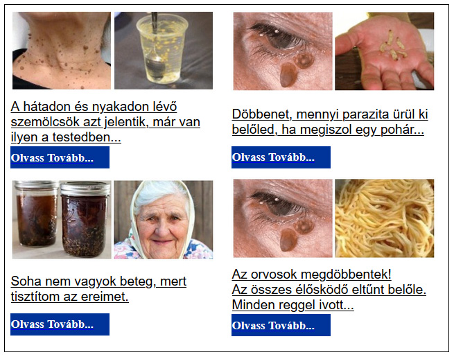 Így ismerd fel az álhír weboldalt